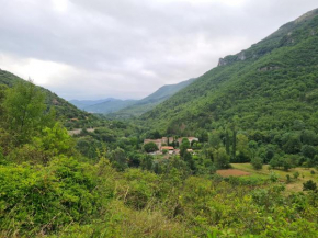Les sources / chez Léa